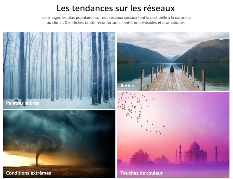 Les tendances sur les réseaux sociaux